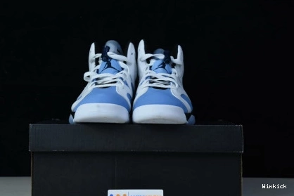 AIR "UNC" JORDAN CT8529-410 6 RETRO 1110